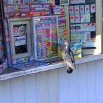 customer_0001
