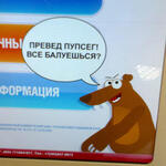 medved_0002