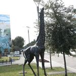 IMG_0952