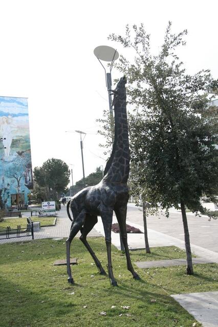 IMG_0952