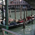 IMG_0982