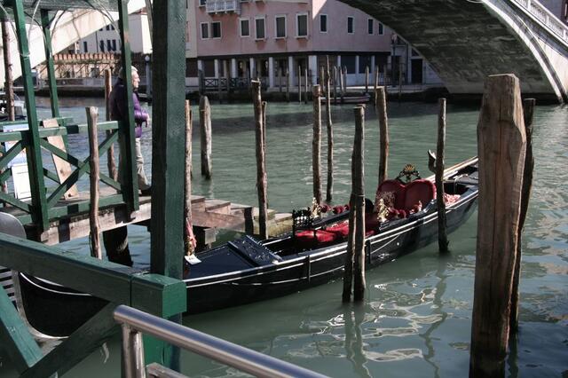 IMG_0982