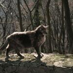 IMG_1447
