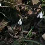 IMG_1463