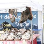 IMG_1973