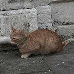 IMG_2032