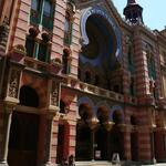 IMG_3885