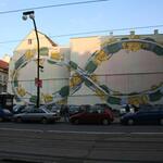IMG_4349