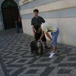 IMG_4678