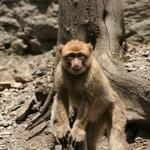 IMG_4976