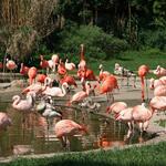 IMG_5090