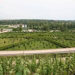 IMG_5180