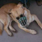 IMG_5492