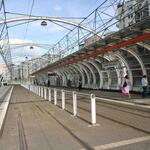 IMG_5523