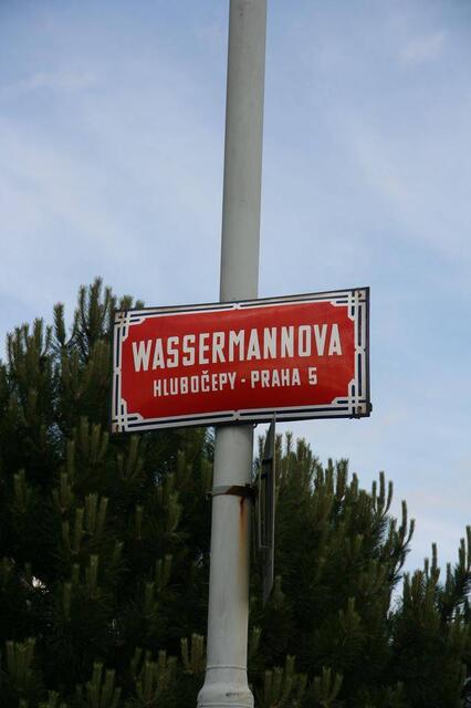 IMG_5529