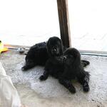 IMG_6032