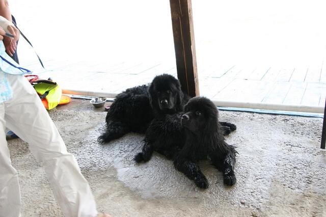 IMG_6032