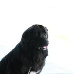 IMG_6036