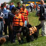 IMG_6131