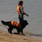 IMG_6236