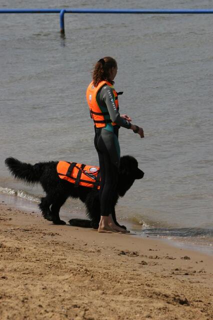 IMG_6236