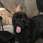 IMG_6694