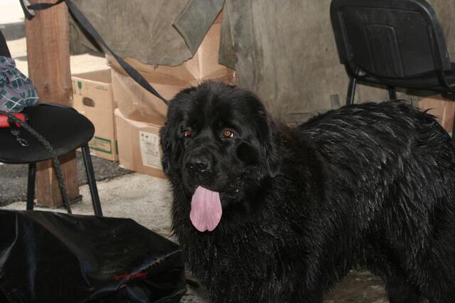 IMG_6694