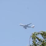 IMG_6739