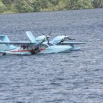 IMG_6981