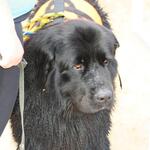 IMG_6996