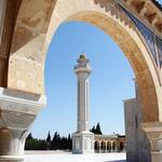 Тунис, 26.06.09 - 08.07.09