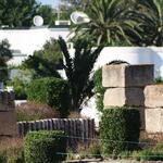 port_punique_0001