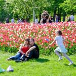IMG_2914