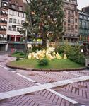 Фотографии Страсбурга, 2001-2002 гг