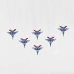 IMG_9133