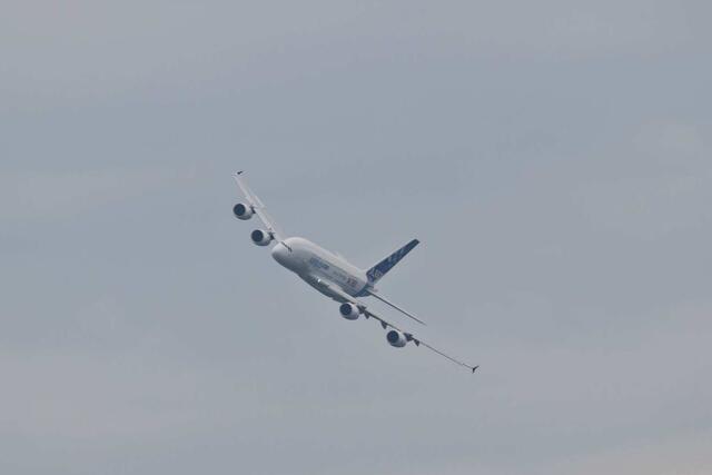IMG_9174