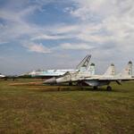 IMG_9247