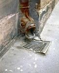 sim_0010
