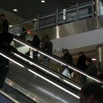 Чукотка, апрель 2007 года