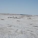 IMG_6310.JPG