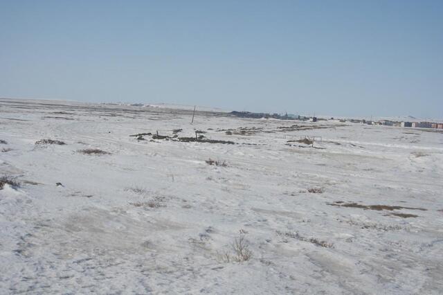 IMG_6310.JPG