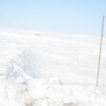 IMG_6314.JPG