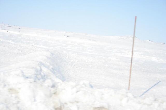 IMG_6314.JPG