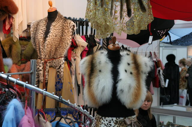 IMG_4982.JPG