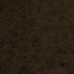 IMG_5652
