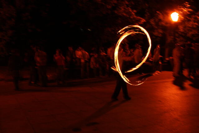 IMG_2594