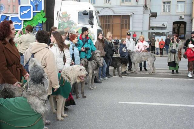 IMG_5824