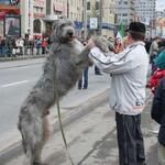 IMG_5831