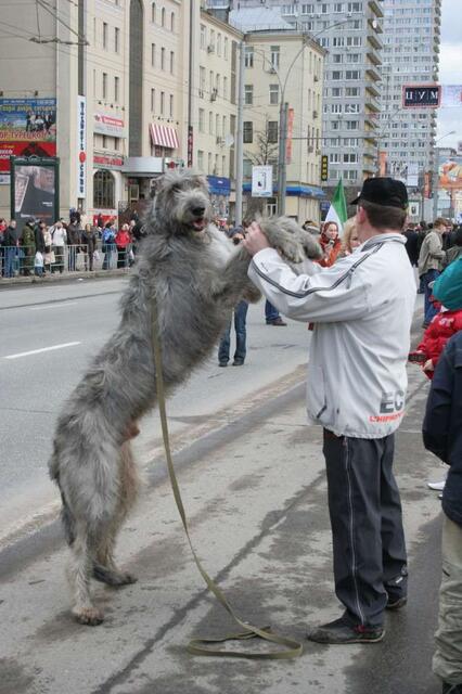 IMG_5831