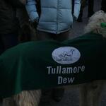 IMG_5904